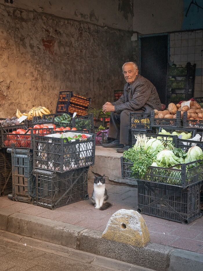 Street vendor sitting near crates of fresh vegetables and fruits with a cat adapted to city life in an urban setting.