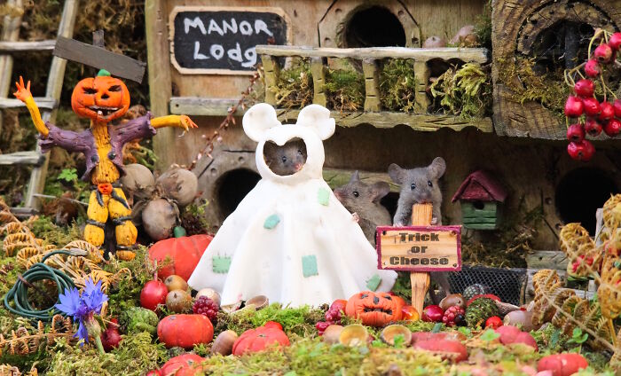 Halloween village setup for wild mice in a garden with miniature decorations including pumpkins and a trick-or-cheese sign.