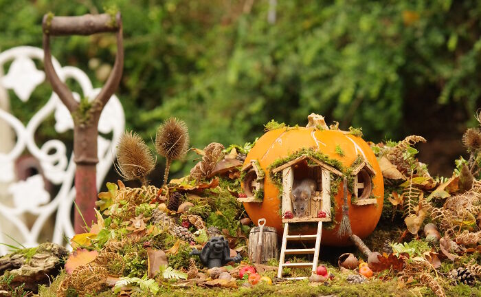 A Halloween village for wild mice in a garden featuring a pumpkin house and natural autumn decorations.