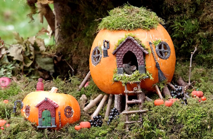 Halloween village for wild mice made from pumpkins with miniature doors, windows, and moss in a garden setting