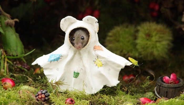 Mouse dressed as a ghost in a Halloween village garden setup for wild mice, surrounded by moss and tiny decorations.