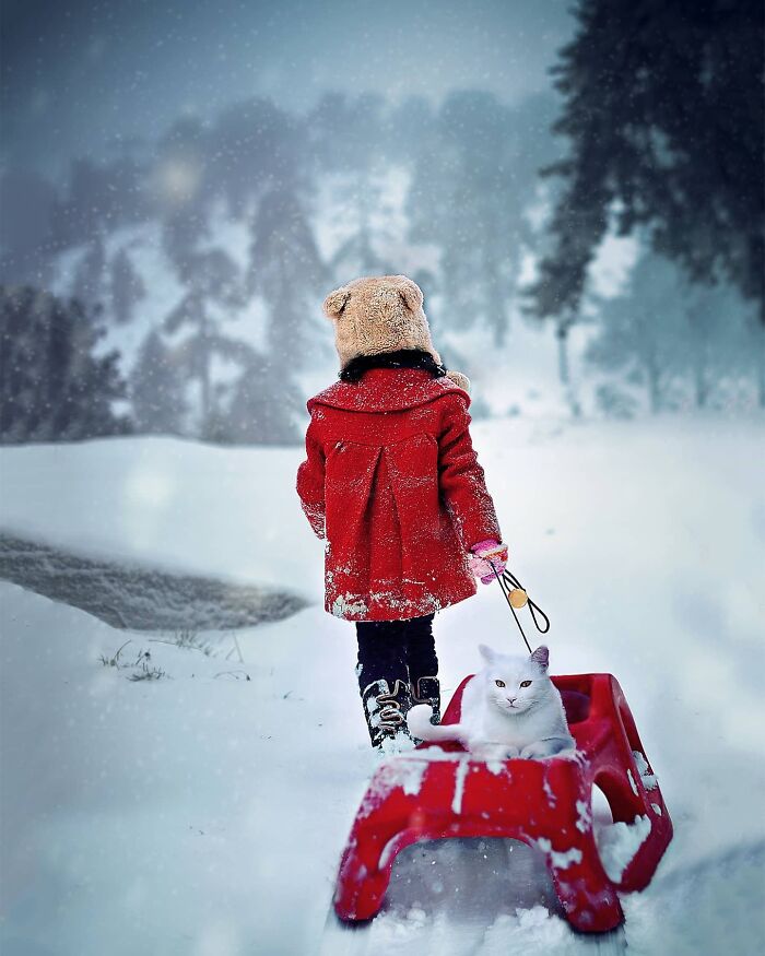 Childhood scene of a child in a red coat pulling a sled with a white cat through snowy landscape.