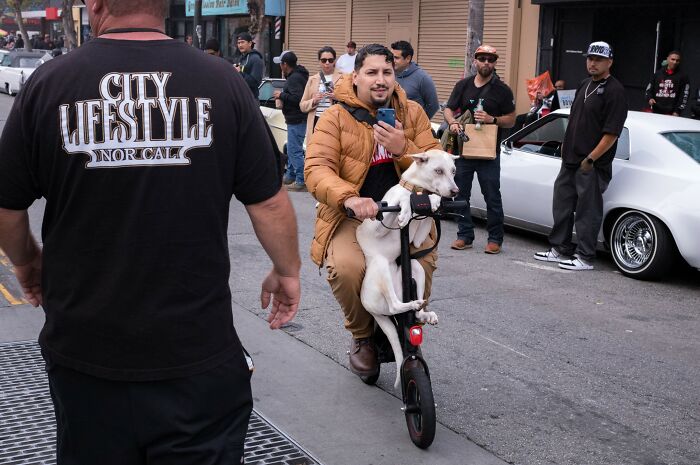 Man and dog riding scooter amidst urban street scene, capturing humor and chaos in everyday life for street photography.
