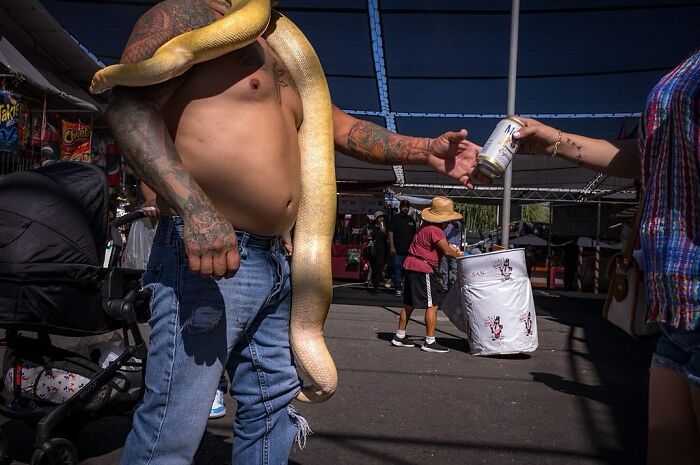 Street photographer captures humor and chaos in everyday life with a shirtless man holding a large snake at a street market.