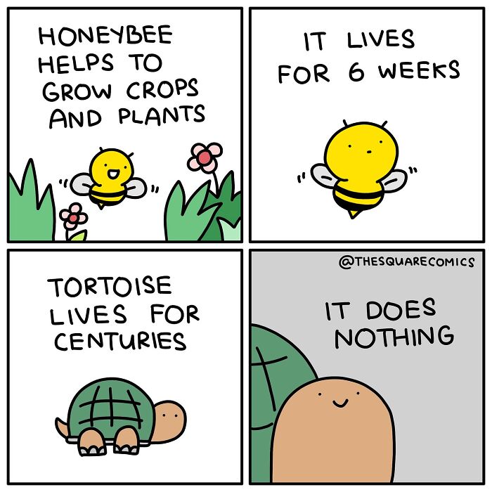 Comic illustrating adulthood struggle with a honeybee and tortoise, highlighting dark humor about life and productivity.