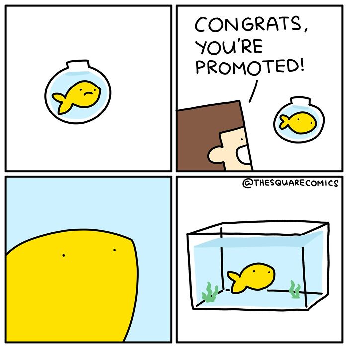 A darkly funny comic showing a goldfish promoted from a small bowl to a larger tank, capturing adulthood struggle.