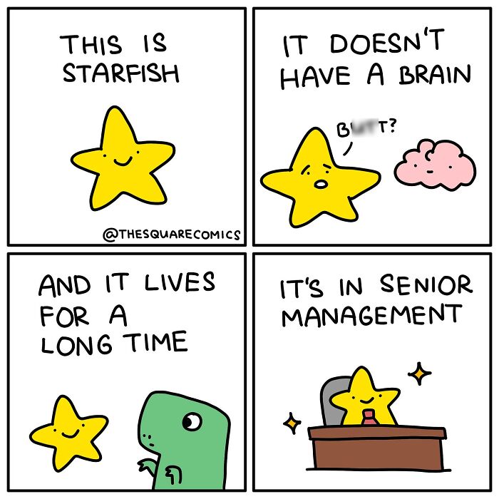 Darkly funny comic showing a starfish without a brain humorously placed in senior management, capturing adulthood struggles.