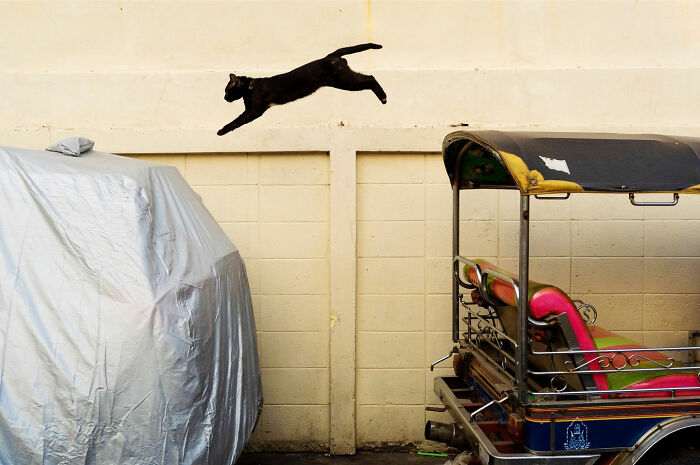 Black cat mid-leap between covered vehicle and colorful tuk-tuk, showcasing witty street coincidences in urban setting.