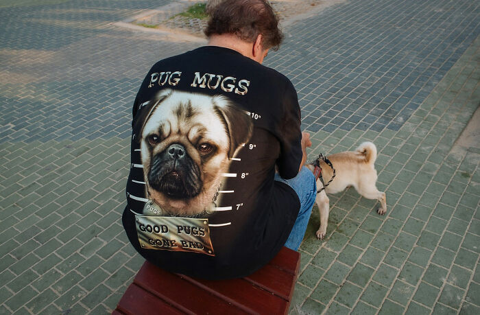 Man wearing a pug-themed shirt sitting on a bench as a small pug dog stands nearby on a paved street.