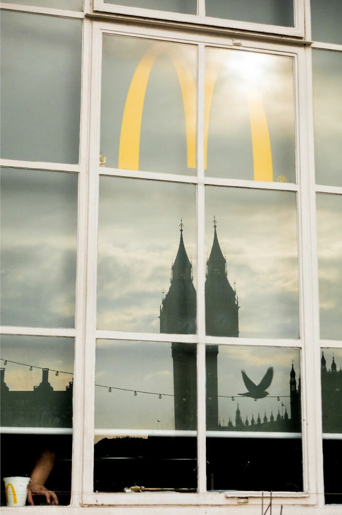 Reflection of a historical building and bird in window glass with a McDonald's logo creating a street coincidence.