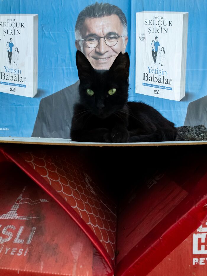 Black cat perfectly aligned with a man's face on a poster, illustrating witty street coincidences captured by Tavepong Pratoomwong.