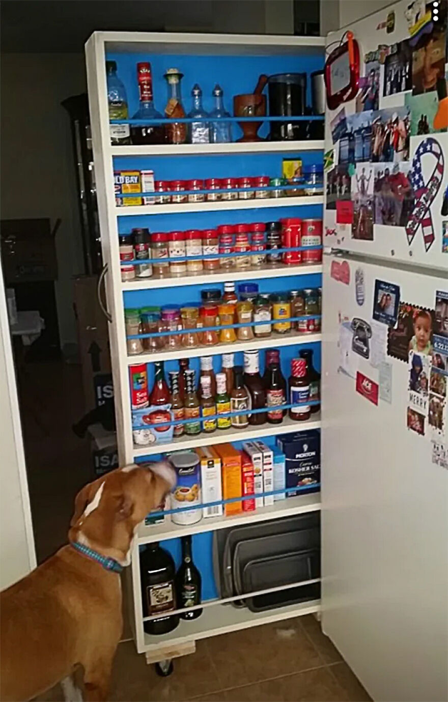 Organized spice rack and pantry shelf with various bottles and boxes, showcasing effective organization hacks at home.