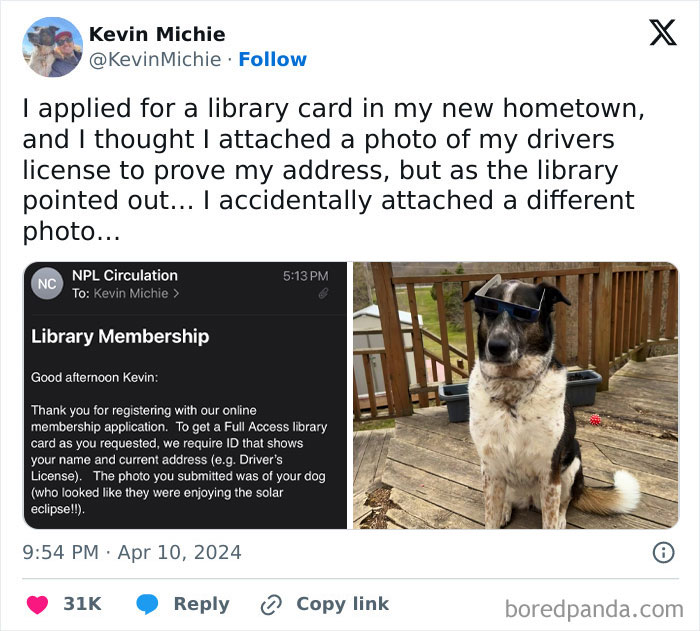 Tweet showing a humorous mix-up where a dog photo was sent instead of a driver's license for library membership, highlighting hilarious tweets.