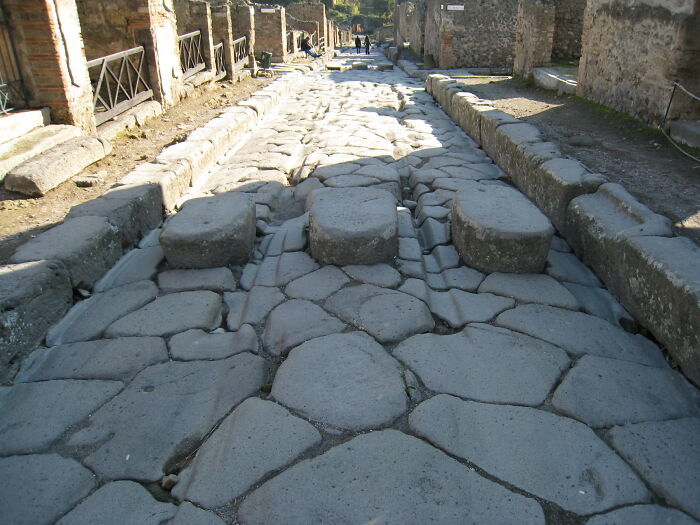 Ancient stone street ruins under sunlight, illustrating surprising historical stories including rabbits and Napoleon.