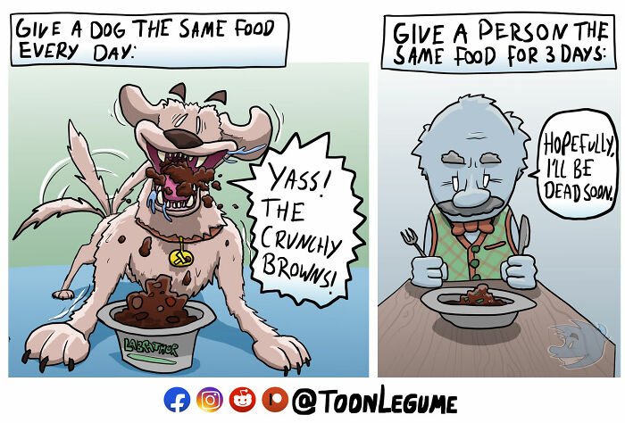 Comic artist’s illustration showing life’s awkward and absurd moments with a dog happily eating and a person unhappy with food.