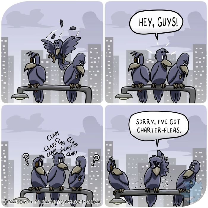 Comic artist illustrates life’s awkward and absurd moments with birds clapping and awkward social interaction on a city rooftop.