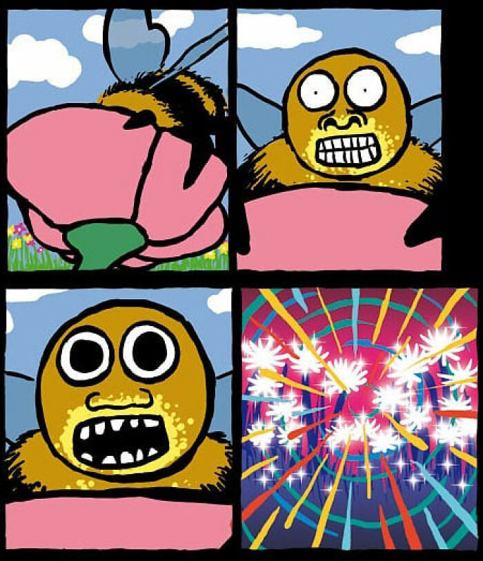 Darkly funny comics depicting a bee approaching a flower with comedic and unexpected explosive twist.