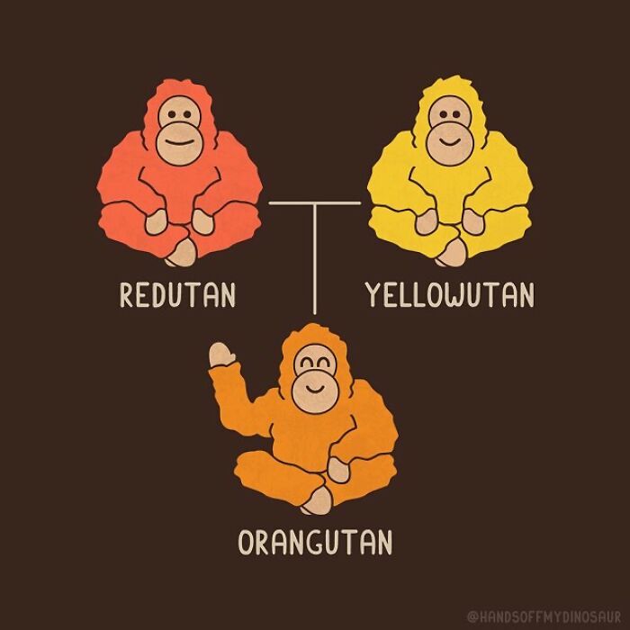 Quirky pun illustration showing colorful orangutans labeled Redutan, Yellowutan, and Orangutan with playful design.