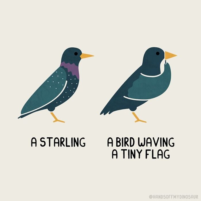Illustration of quirky pun showing a starling bird and another bird waving a tiny flag for pun humor.