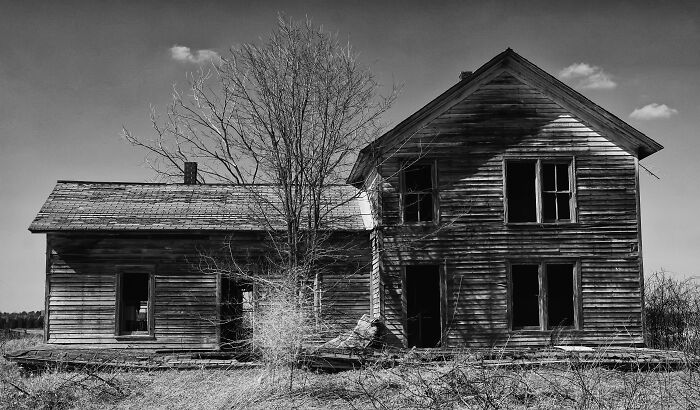 Abandoned creepy Halloween-inspired house with broken windows and barren tree in front for would you rather poll.