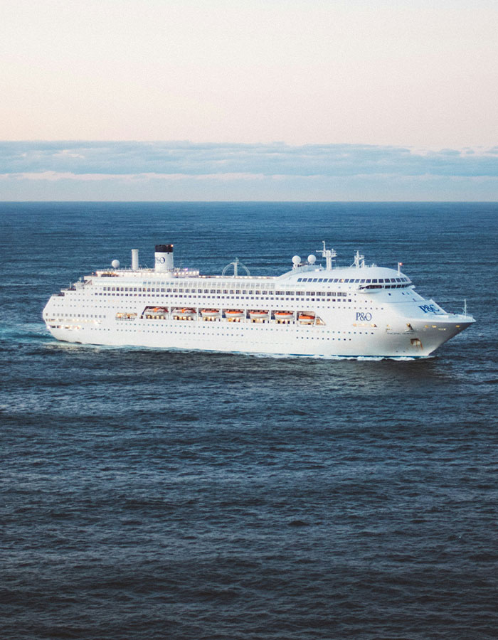 Large white cruise ship sailing on calm ocean waters under a clear sky, related to viral video of strangers sleeping on cruise balcony.