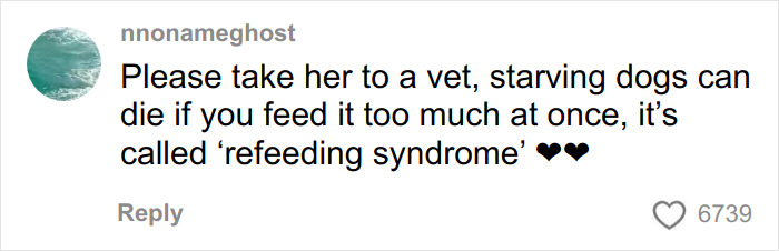 Comment warning about refeeding syndrome in starving dogs, urging to take a trapped dog to a vet for proper care.