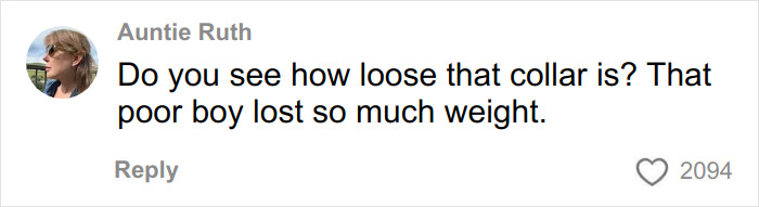 Comment from Auntie Ruth expressing concern about a trapped dog's loose collar and weight loss after urban explorers rescued it.