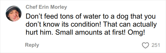 Comment from Chef Erin Morley advising to give a dog small amounts of water first to avoid hurting its condition.