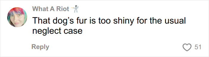 Comment about trapped dog&rsquo;s shiny fur, highlighting neglect case discussed by urban explorers in a ghost mall setting.