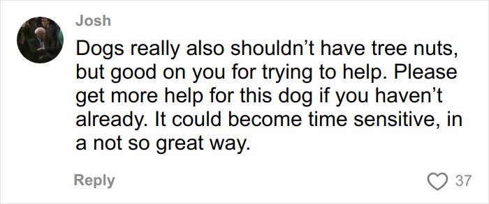 Comment warning about dog care and urging to get urgent help to ensure the trapped dog's safety in a ghost mall rescue.