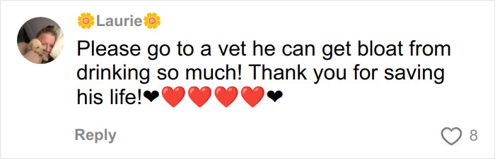 Comment urging to take trapped dog to a vet to prevent bloat after urban explorers rescued it from a ghost mall.