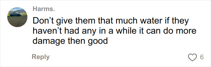 Comment on hydration advice, warning that giving trapped dog too much water too quickly can cause harm, shared by urban explorers.