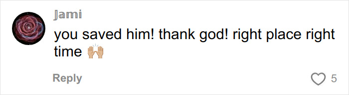 Comment on a video about a trapped dog rescued by urban explorers in an abandoned mall, expressing gratitude and relief.