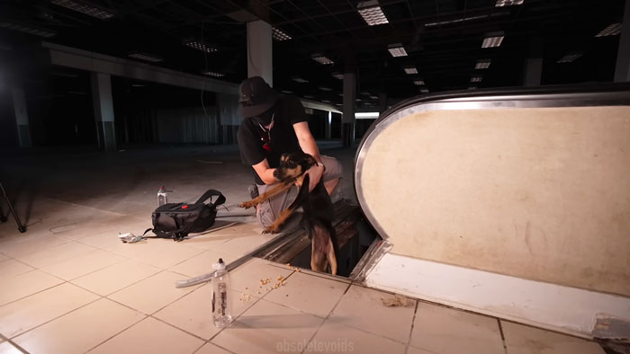 Urban explorers rescuing a trapped dog from an abandoned ghost mall, giving the dog a new leash on life.