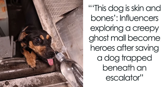 Influencers Exploring An Abandoned Mall Find A Dog Trapped Under An Escalator And Save The Day