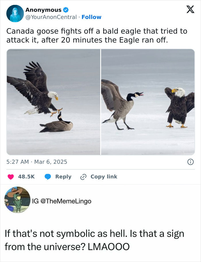 Animal-Humor-Pics-Animalxhumor