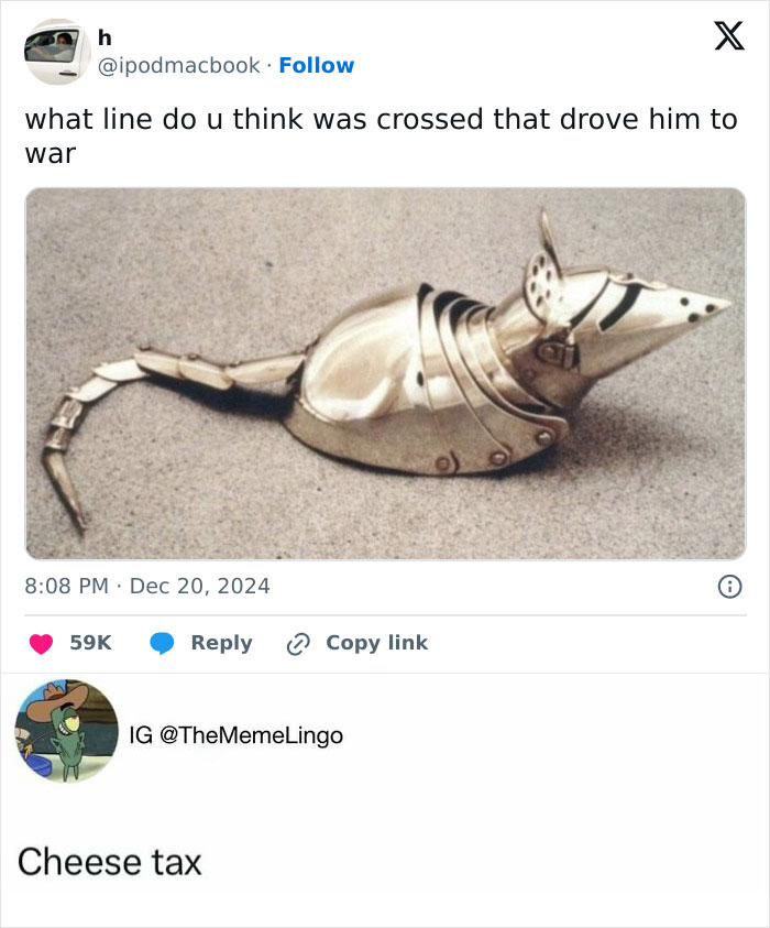 Animal-Humor-Pics-Animalxhumor