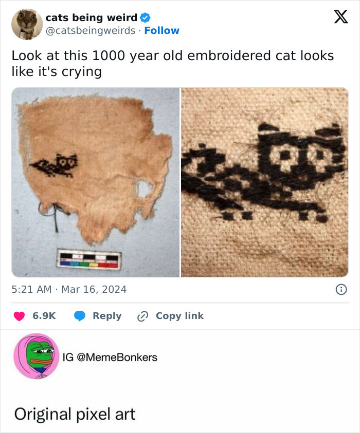 Animal-Humor-Pics-Animalxhumor