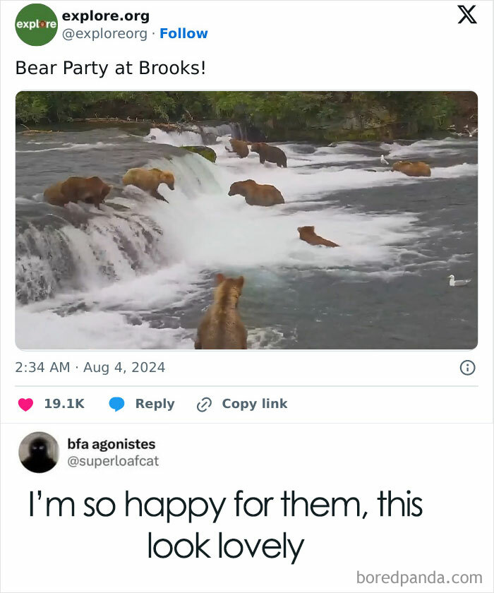 Animal-Humor-Pics-Animalxhumor