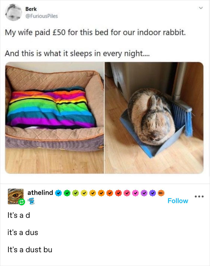 Animal-Humor-Pics-Animalxhumor