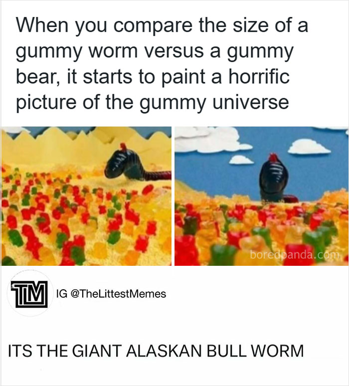 Animal-Humor-Pics-Animalxhumor