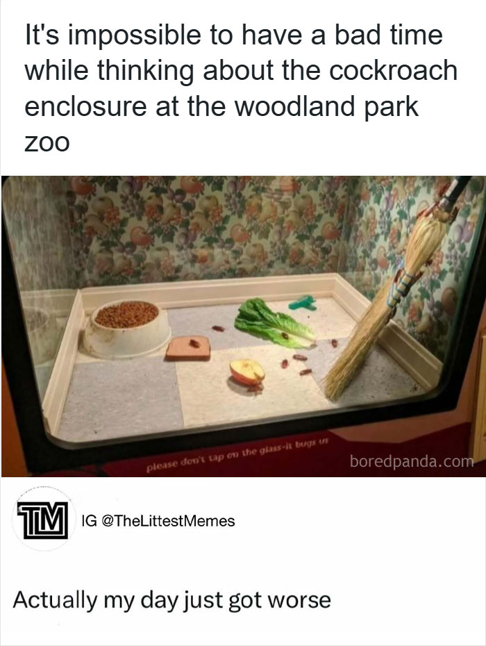 Animal-Humor-Pics-Animalxhumor