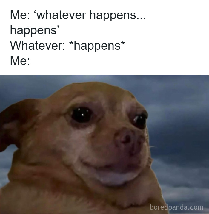 An anxious dog with a forced smile illustrating relatable memes to help cope with anxiety and stress feelings.