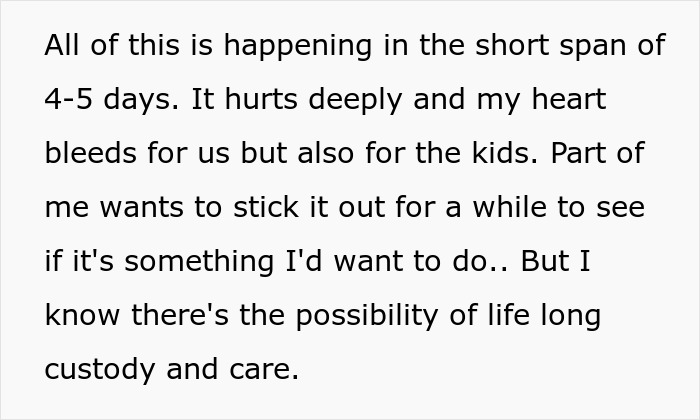 Text describing a woman saving niblings from foster care, facing challenges of custody and care decisions.