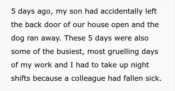 Text excerpt describing a son accidentally losing the dog while a manchild plays games and the wife plans console trash day.