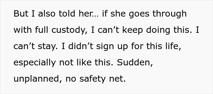 Text excerpt showing a woman expressing concerns about unplanned custody and the challenges of saving niblings from foster care.