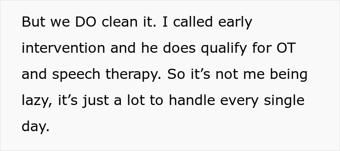 Text discussing an exhausted mom managing daily challenges while responding to criticism about her house not being spotless.