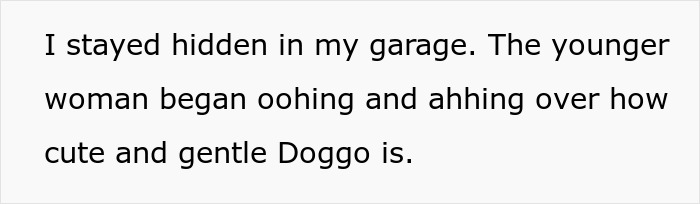 Text reading a hidden witness describing how a woman admired a gentle doggo, relating to elderly lady planning to steal neighbor&rsquo;s doggo.