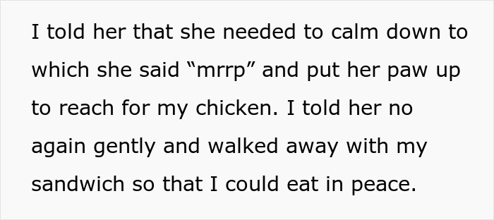 Text showing a woman refusing to share her chicken sandwich with her cat, wondering if she&rsquo;s the jerk.