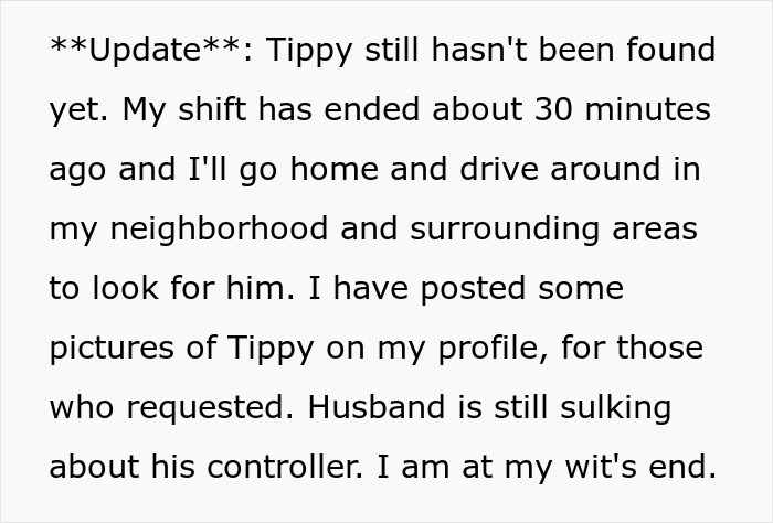 Text update about a lost dog Tippy while manchild sulks playing games as wife grows furious over console trash conflict.